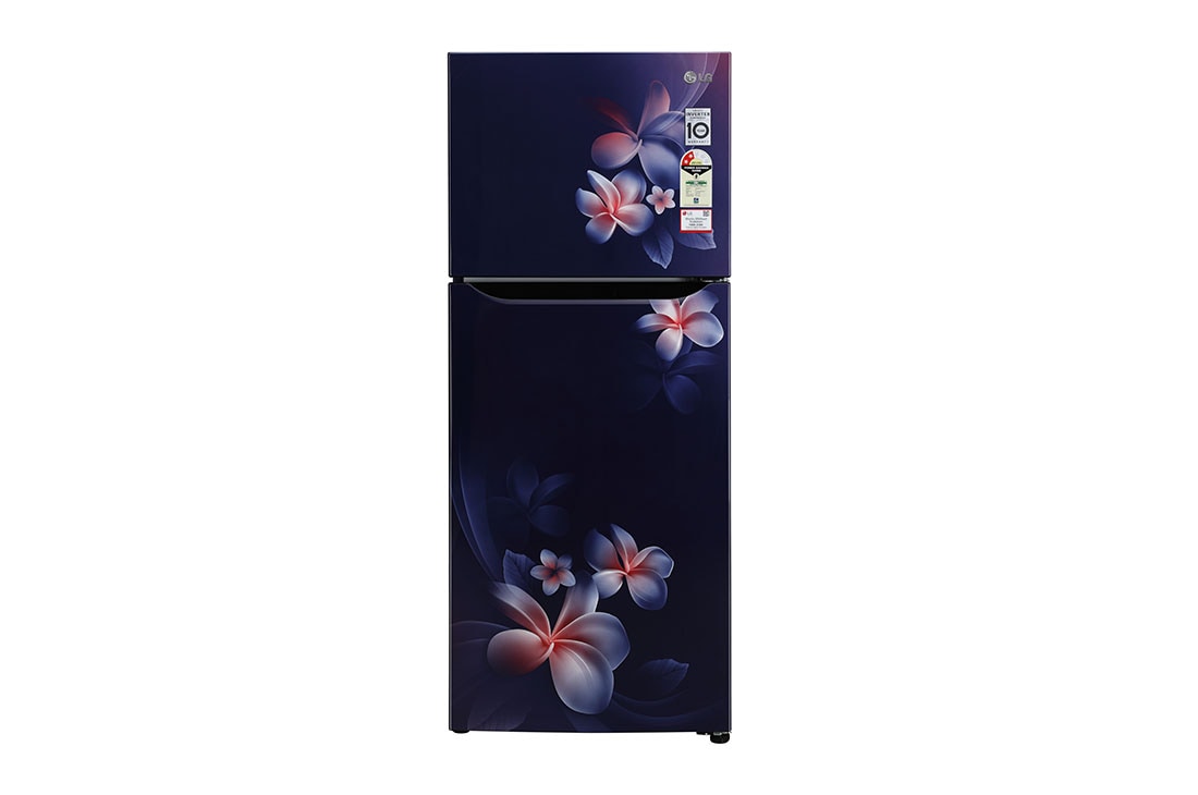 LG 260 L Frost Free Double Door Refrigerator in Blue Plumeria Color GL-N292DBPY