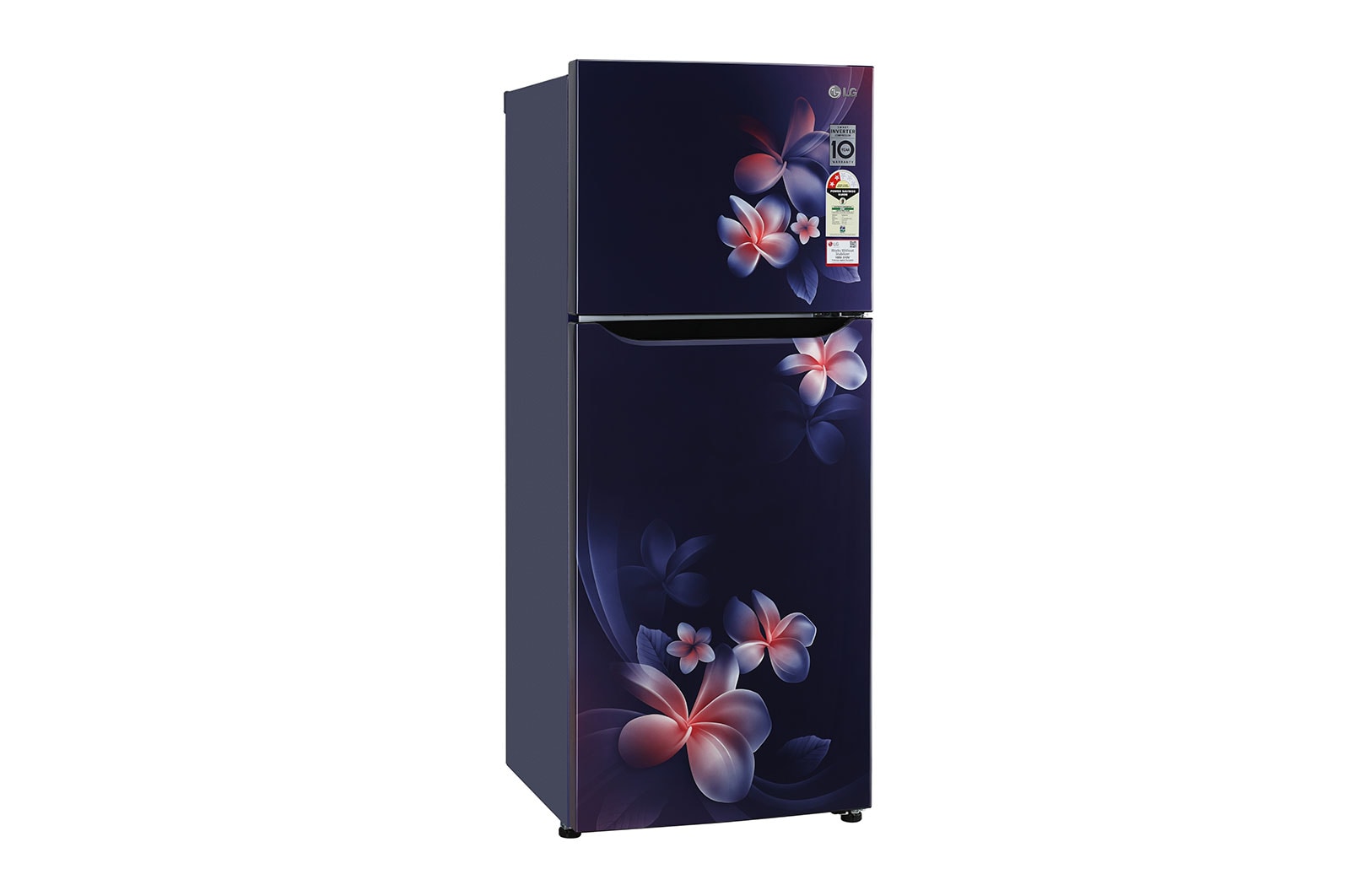 LG 260 L Frost Free Double Door Refrigerator in Blue Plumeria Color GL-N292DBPY