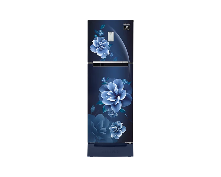 Samsung 244L Curd Maestro™ Double Door Refrigerator RT28A3C22CU/HL
