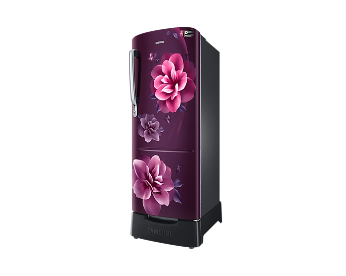 230L Stylish Grandé Design Single Door Refrigerator RR24A282YCR